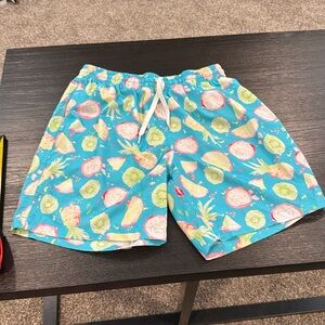 Chubbies Men’s Medium 7” Linerless